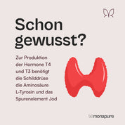 Der Produzent