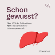 Der Umwandler